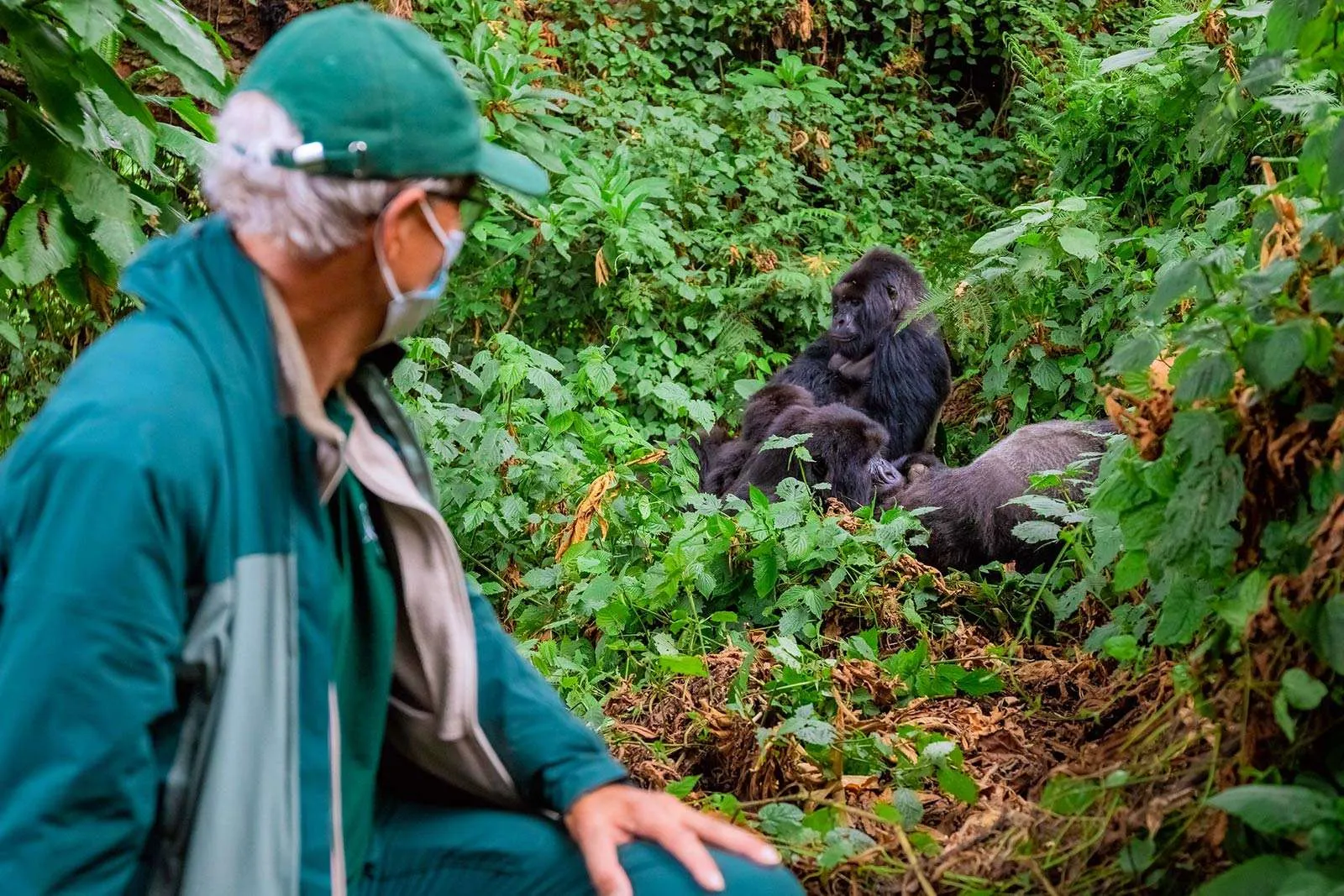2 Days Volcanoes National Park Gorilla Trekking Experience - Gorilla Bookings