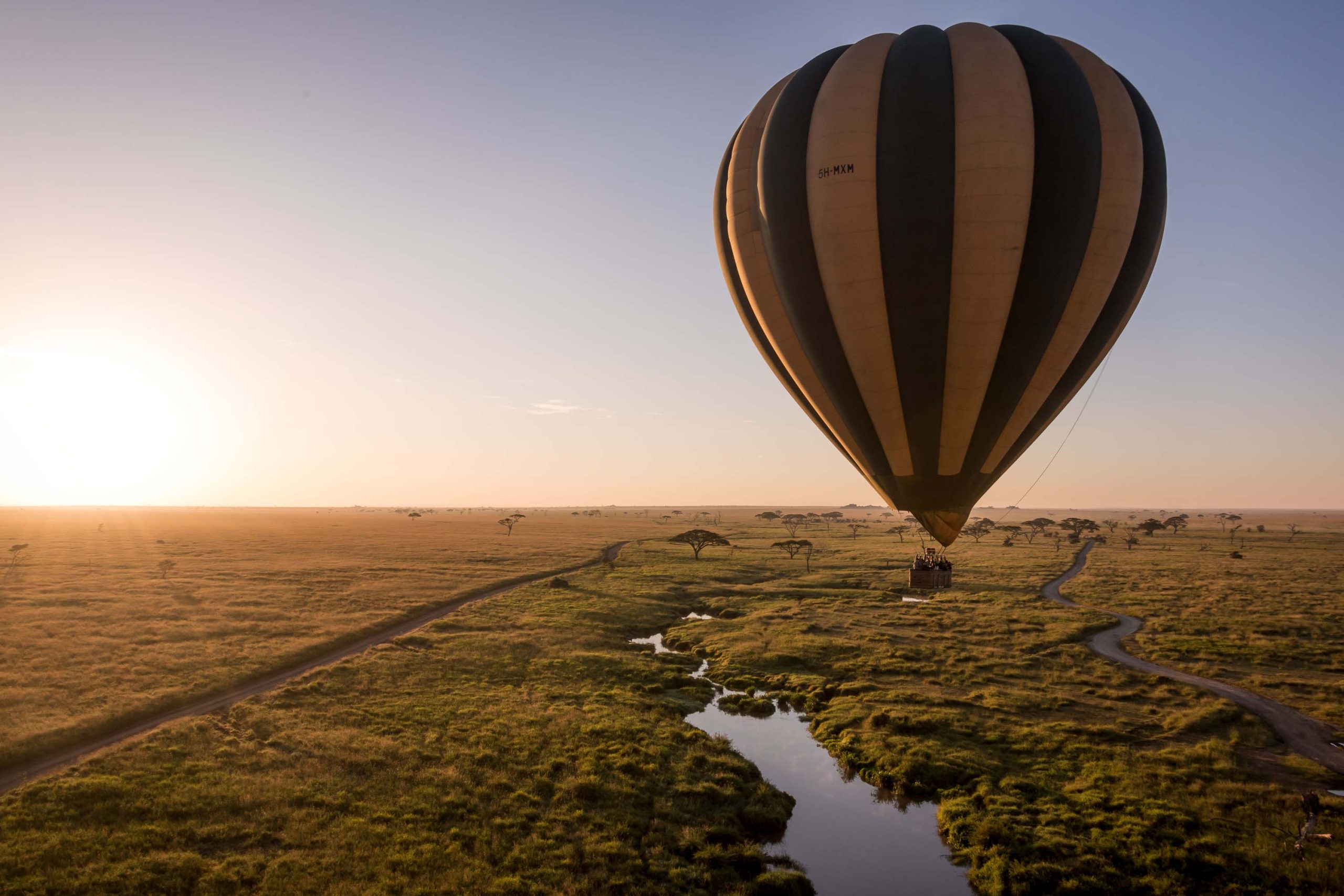 4 Days Tanzania Luxurious Fly-in Safari to Serengeti & Hot Air Balloon Adventure - Gorilla Bookings
