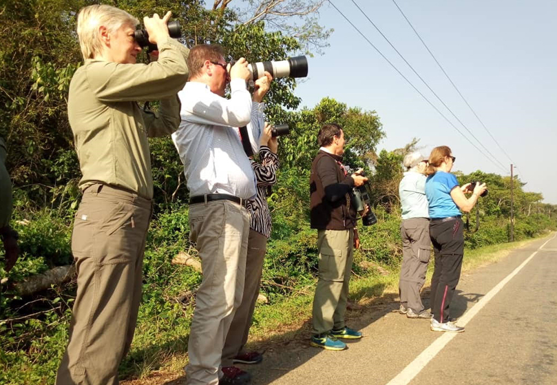 8 Days Uganda Gorillas Chimps and wildlife Safari Trip - Gorilla Bookings